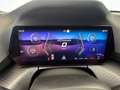 CUPRA Raval ENDURANCE 52/55 155kW/210 PS Blau - thumbnail 11