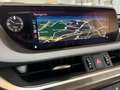Lexus ES 300 300h Premium Violett - thumbnail 21
