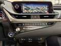 Lexus ES 300 300h Premium Violett - thumbnail 9