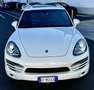 Porsche Cayenne 3.0 V6 tdi 245cv tiptronic - thumbnail 1