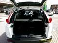 Honda CR-V Blanco - thumbnail 7