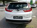 Honda CR-V Blanco - thumbnail 4