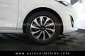 Ford Fiesta Titanium*2.Hand*Klima*LED*Winterpaket*DAB Wit - thumbnail 23