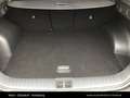 Kia Sportage /GOLD/UVO/1.6 CRDI 48V/DCT7/AWD Schwarz - thumbnail 26