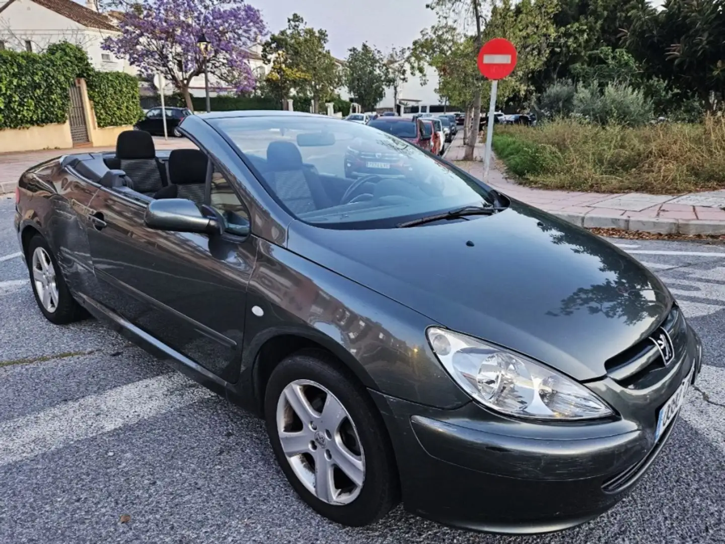Peugeot 307 Deportivo Automático de 2 Puertas Grey - 2