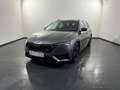 Skoda Octavia RS Combi 2.0 TDI 4x4 DSG *LED*ACC*RFK*NAVI* Grau - thumbnail 2