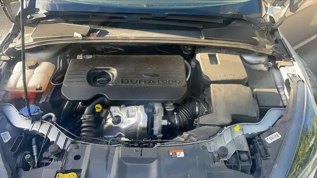 Ford Focus view 15