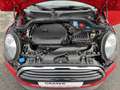 MINI Cooper Hatch Pepper Pano.Dach Navi Klimaaut. Rot - thumbnail 33