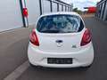 Ford Ka/Ka+ Ka 1.2 Start-Stopp Trend 1.Hand Tüv neu 2 Jahre Biały - thumbnail 13