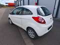 Ford Ka/Ka+ Ka 1.2 Start-Stopp Trend 1.Hand Tüv neu 2 Jahre Biały - thumbnail 12