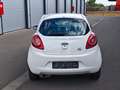 Ford Ka/Ka+ Ka 1.2 Start-Stopp Trend 1.Hand Tüv neu 2 Jahre Biały - thumbnail 5