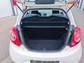 Ford Ka/Ka+ Ka 1.2 Start-Stopp Trend 1.Hand Tüv neu 2 Jahre Weiß - thumbnail 19