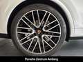 Porsche Cayenne E-Hybrid AHK Luftfeder HUD BOSE InnoDrive Weiß - thumbnail 8