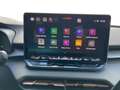 CUPRA Terramar 1.5 eTSI DSG Climatronic LED PDC SHZ Nero - thumbnail 13