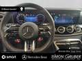 Mercedes-Benz AMG GT GT 53 4M AMG Night Massage Servoschließen Schieb Grau - thumbnail 10