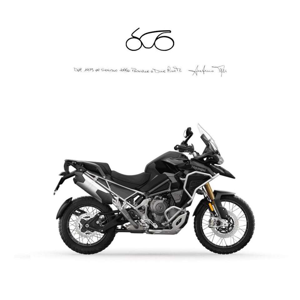 Triumph Tiger 1200 Rally Explorer
