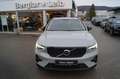 Volvo XC40 B3 Benzin 2WD Plus Dark DKG/Leder/Panorama Gris - thumbnail 1
