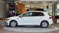Volkswagen Golf Golf 8 1.5 eTSI R-Line 1-Hand Aut. *Head-up*Kamera Weiß - thumbnail 4
