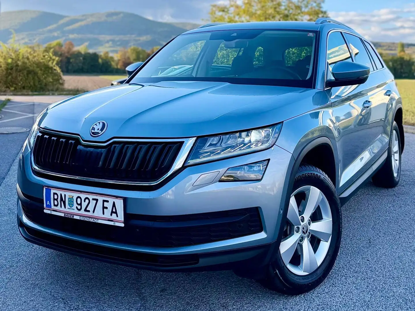 Skoda Kodiaq Kodiaq 2,0 TDI SCR 4x4 Style Style Grau - 1