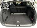 Skoda Superb TDI 4x4 Selection Navi App ACC 5JG 360° Wit - thumbnail 20