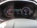 Ford Edge EDGE 2.0 TDCI Navi LED GRA EPH AHK Groen - thumbnail 12