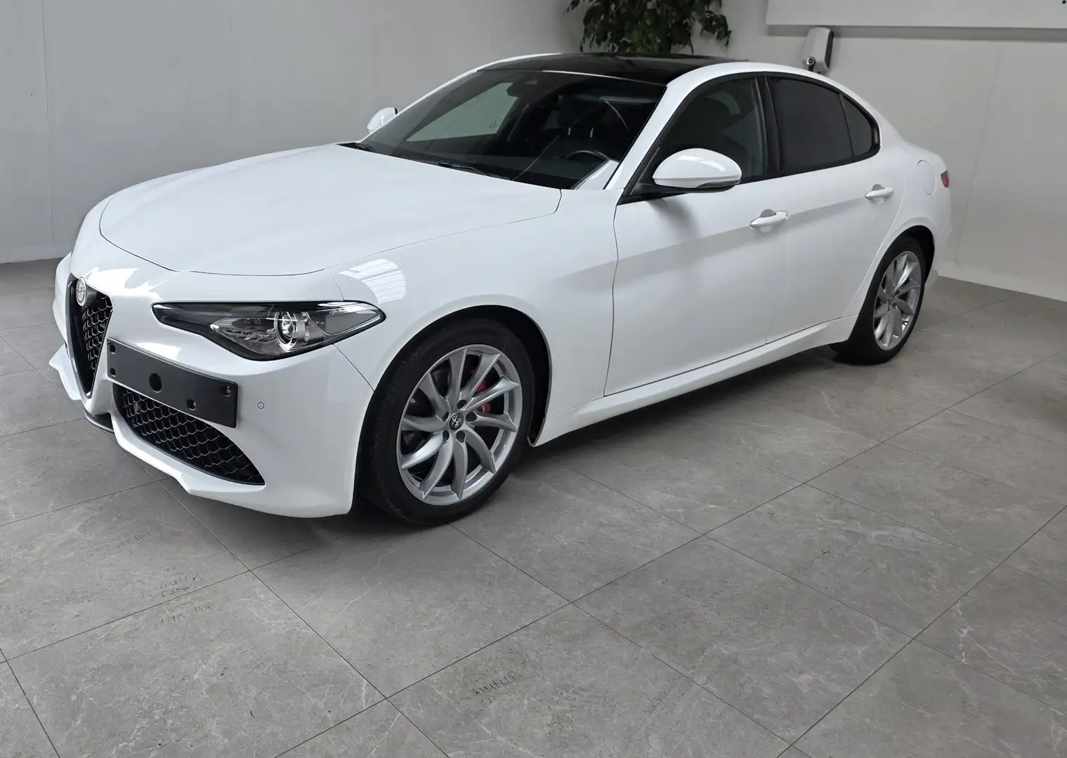 Alfa Romeo Giulia 2.2 Diesel AT8 Sprint - 1