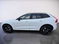 Volvo XC60 Black Edition Plus, T6 AWD Plug-in Hybrid, Elektrisch/Benzin Weiß - thumbnail 6