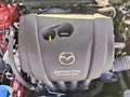 Mazda CX-3 2.0 Style 2WD 120 Rouge - thumbnail 16