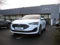 Ford Focus 1.0 Titanium Klima PDC SHZ LHZ FHZ DAB BT Klima Blanc - thumbnail 3