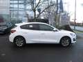 Ford Focus 1.0 Titanium Klima PDC SHZ LHZ FHZ DAB BT Klima Blanc - thumbnail 4