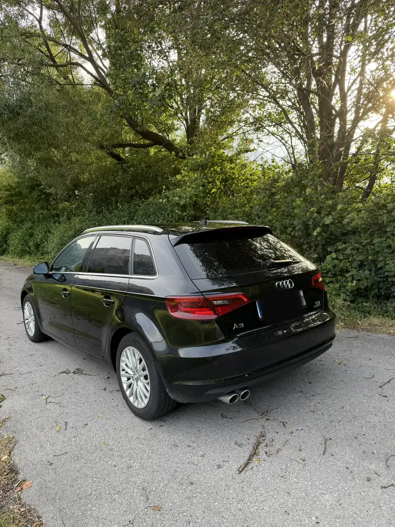 Audi A3 SB 1,6 TDI Intense - 2