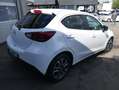 Mazda 2 1.5 2 SKYACTIV White Edition Leder Klimaautomatik Weiß - thumbnail 3