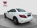 Mercedes-Benz SLC 43 AMG SLC43 AMG*H&K*PANO*RCAM*LED*KESSY*NIGHT*AIRSCARF Weiß - thumbnail 14