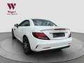 Mercedes-Benz SLC 43 AMG SLC43 AMG*H&K*PANO*RCAM*LED*KESSY*NIGHT*AIRSCARF Weiß - thumbnail 12