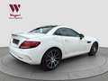 Mercedes-Benz SLC 43 AMG SLC43 AMG*H&K*PANO*RCAM*LED*KESSY*NIGHT*AIRSCARF Weiß - thumbnail 8