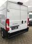 Fiat Ducato 35 L3H2 140 Multijet Kamera+PDC Apple Weiß - thumbnail 19