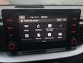 Kia XCeed 1.6 PHEV eDrive Aut. Gris - thumbnail 9