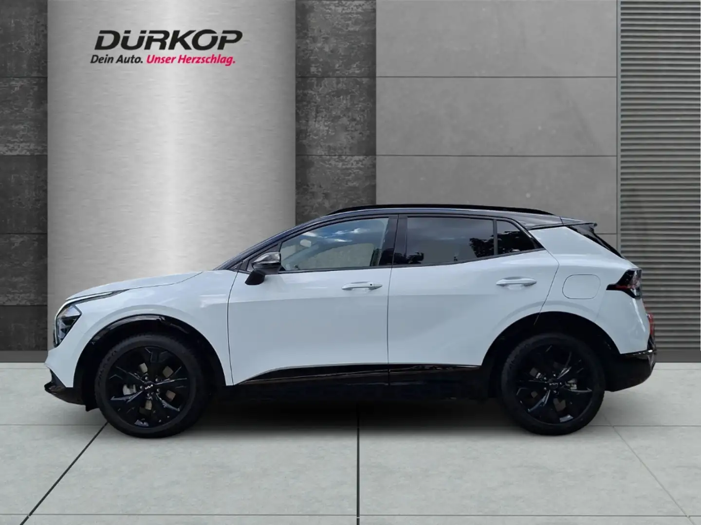 Kia Sportage Nightline Allrad Leder Allwetter Panoramadach Navi Blanc - 2