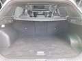 Kia Sportage Nightline Allrad Leder Allwetter Panoramadach Navi Blanc - thumbnail 5