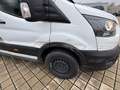 Ford Transit 350 L4 H3 2.0 Trend Fehér - thumbnail 5