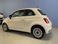 Fiat 500 500 1.0 hybrid Dolcevita 70cv Weiß - thumbnail 4