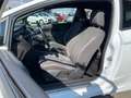 Ford Fiesta 3p 1.5 tdci ST-line 95cv Bianco - thumbnail 7
