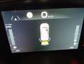 Fiat New Panda 1.0 70CV FIREFLY HYBRID KM ZERO!!! Nero - thumbnail 10