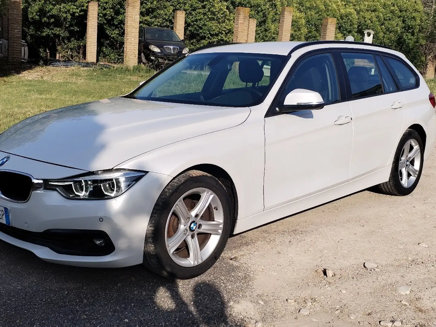 BMW 316 316d Business Advantage auto Bianco - 1
