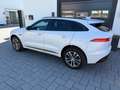 Jaguar F-Pace R F-PACE S AWD"Neue Steuerketten" Weiß - thumbnail 11