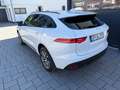 Jaguar F-Pace R F-PACE S AWD"Neue Steuerketten" Weiß - thumbnail 12