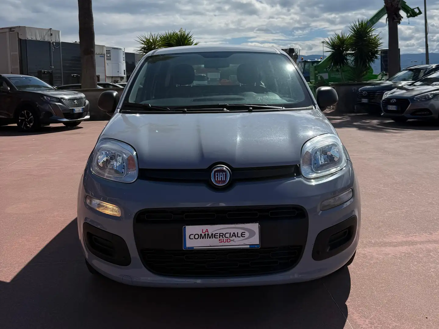 Fiat Panda Panda III 2021 1.0 firefly hybrid City Life s Gris - 2