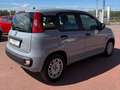 Fiat Panda Panda III 2021 1.0 firefly hybrid City Life s Gris - thumbnail 5