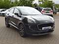 Ford Puma 125PS Autm. Titanium iACC ParkAssistent Schwarz - thumbnail 7