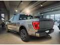 Ford F 150 XLT 5.0 V8 SUPERCREW - thumbnail 3